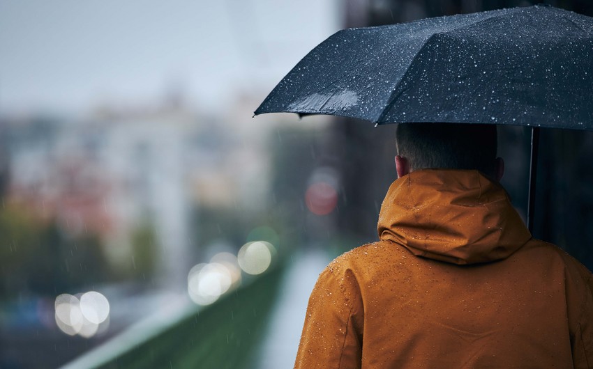 Eb08aa8c 0903 3cfa ba46 9963aa859db9