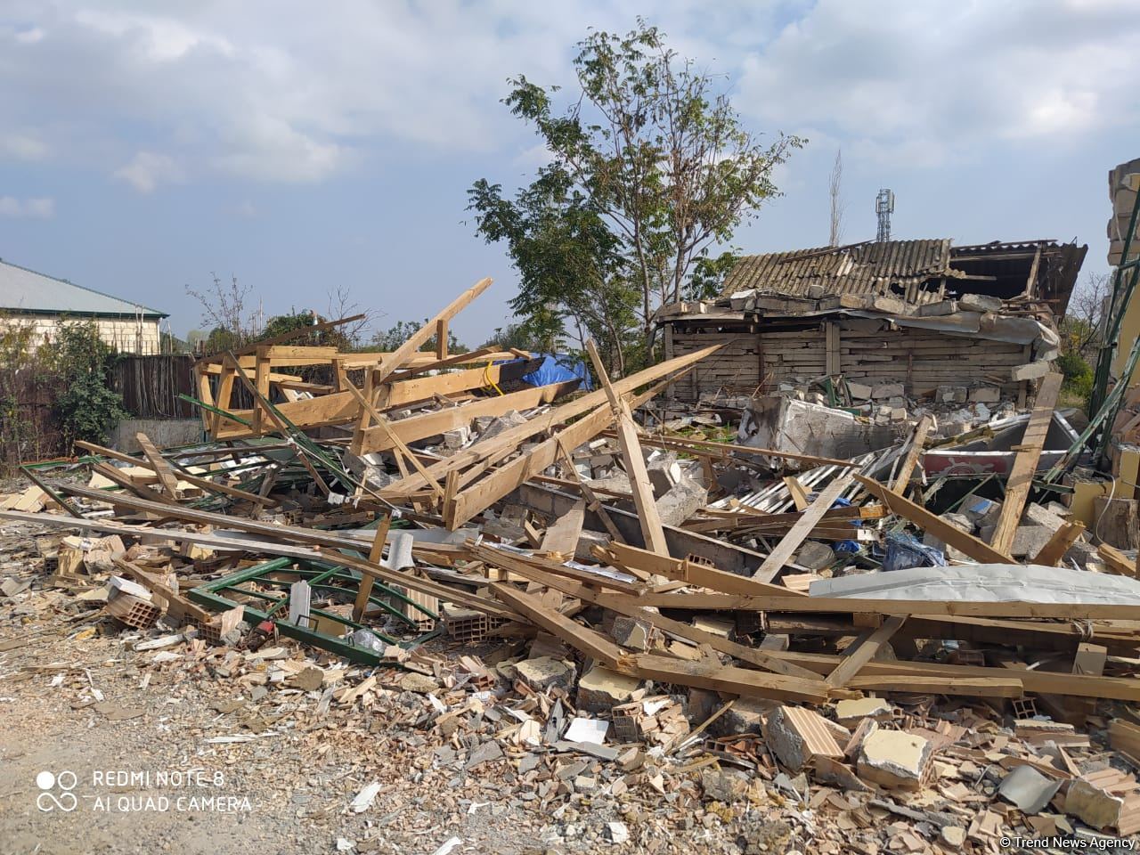 Trend terter daginti 14102