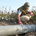 1604480185294 kYZxkiwX