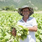 2fab51a5 7eda 32cc a79a 300333dc8cba