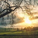 475f5648 9b1a 3785 9709 b34b01860593