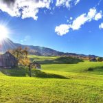 4bf43d62 d29e 3ec4 9cfb 6fd3b13d6970