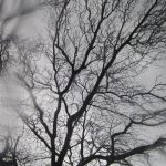 4fe4a0bf 63fe 3c96 97b9 2479796573a9