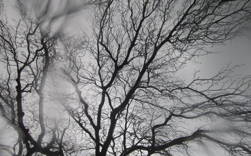 4fe4a0bf 63fe 3c96 97b9 2479796573a9