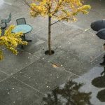 66b7fb98 1f34 3c64 9bbb 3699a12d7204