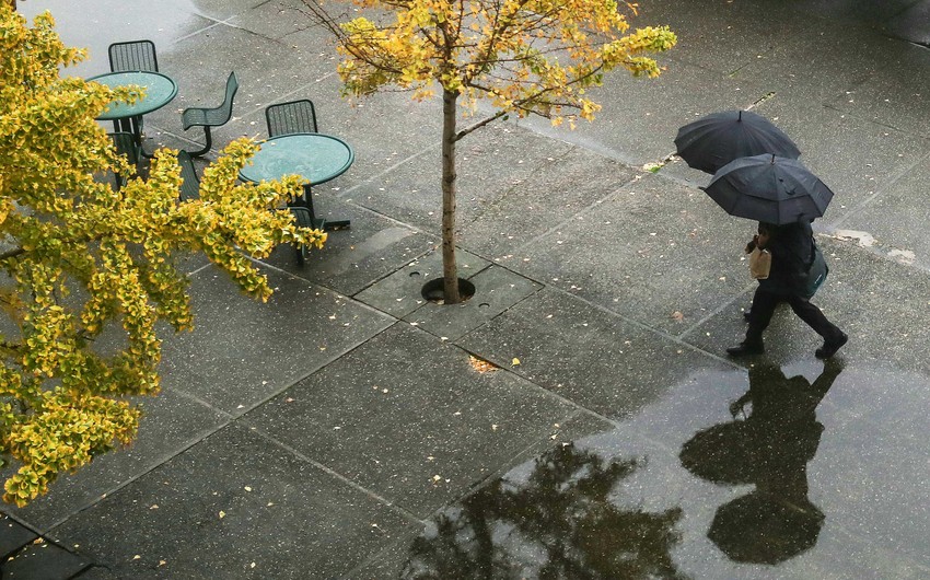 66b7fb98 1f34 3c64 9bbb 3699a12d7204