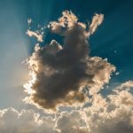 8ece67f8 cb91 3b2a a194 fb5229bc5d24