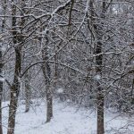 B197c534 eae9 3110 a992 ddd85eadae09