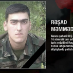 F3350e93 89d4 3c3f 81b0 bd72187cc58b