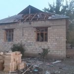 Trend berde raket 271020