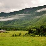 67ab02da c1f7 3cf3 b425 f25167b99efb