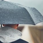 B679fe62 d212 3f2d b2fd cb828cd249e1