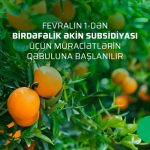 1611312018291 RVqKwQhk