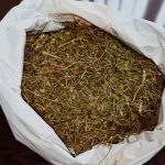 2a6969ac fd1d 389b 96cf 45c112ddbb77