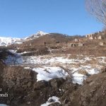 3305b591 c3a6 31a0 ad97 ae2fe3d9a72d