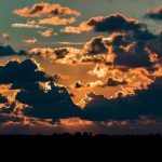 7d1c503b 5272 3946 8aee 20691a9c57e9