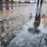 8e62026c dc91 380d 8497 ace69b509209