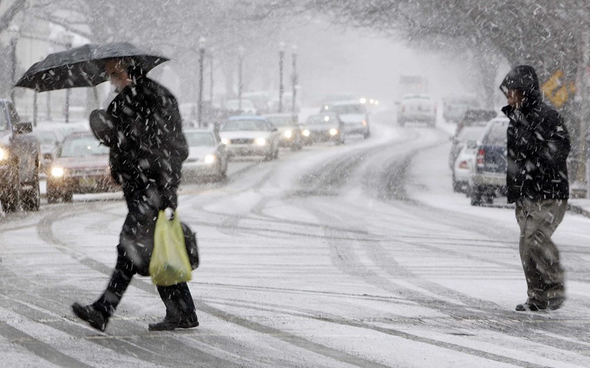 149c62a9 b906 3394 9206 60073c7d171b