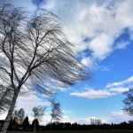 1bbdb551 92d8 41a7 a226 00e3f8ad8c72