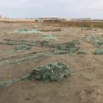 4472a8e1 6eef 3c9e 9b2c c0a2b9fc376c