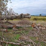 7aadbbdd bc7d 345b 9e2a bd1a3c6a2f7d