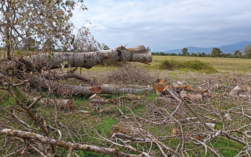 7aadbbdd bc7d 345b 9e2a bd1a3c6a2f7d