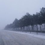 806de205 d651 3be0 bfe2 d68420c01f52