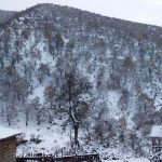 AnyConv.com 7e3c2bbf 29c8 3897 a003 845a78edea95