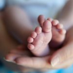 8322622e 8c79 3304 9773 543f3c08d944