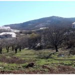 A2aad884 45c1 3afd 93f1 1d99612eec7d