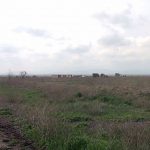 2a4cfbf2 c0d3 3827 8439 95725576e670