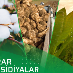 2d616ce4 ce9a 3a84 a3a0 7d36119f6a81