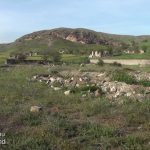 3354d3d8 00c4 3cc5 adf0 4c4512ffd419