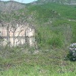 F3c6857c 3635 32a0 a8ee e8f7b98abb6f