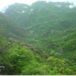 112a0c50 661a 3129 9e83 412f7bd77486