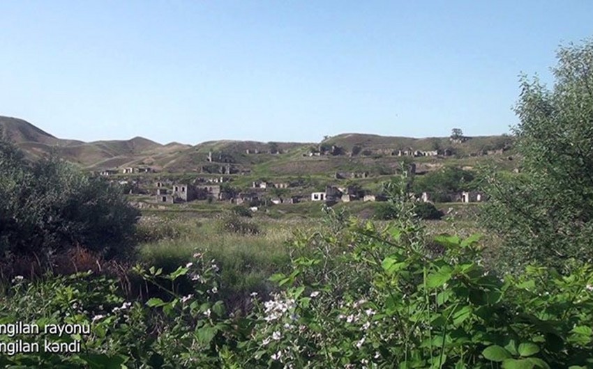 3685801b a129 3684 91ee a585a701496a