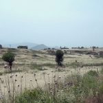 60c323784bf8860c323784bf89162340133660c323784bf8660c323784bf87