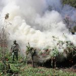 60c70eed12ea060c70eed12ea1162365822160c70eed12e9d60c70eed12e9f