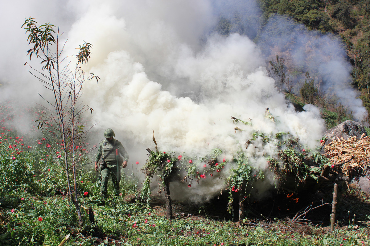 60c70eed12ea060c70eed12ea1162365822160c70eed12e9d60c70eed12e9f