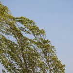 02e6c507 be71 3632 8ca8 d69b2764cea3