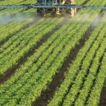 1662017123830260 1024x614