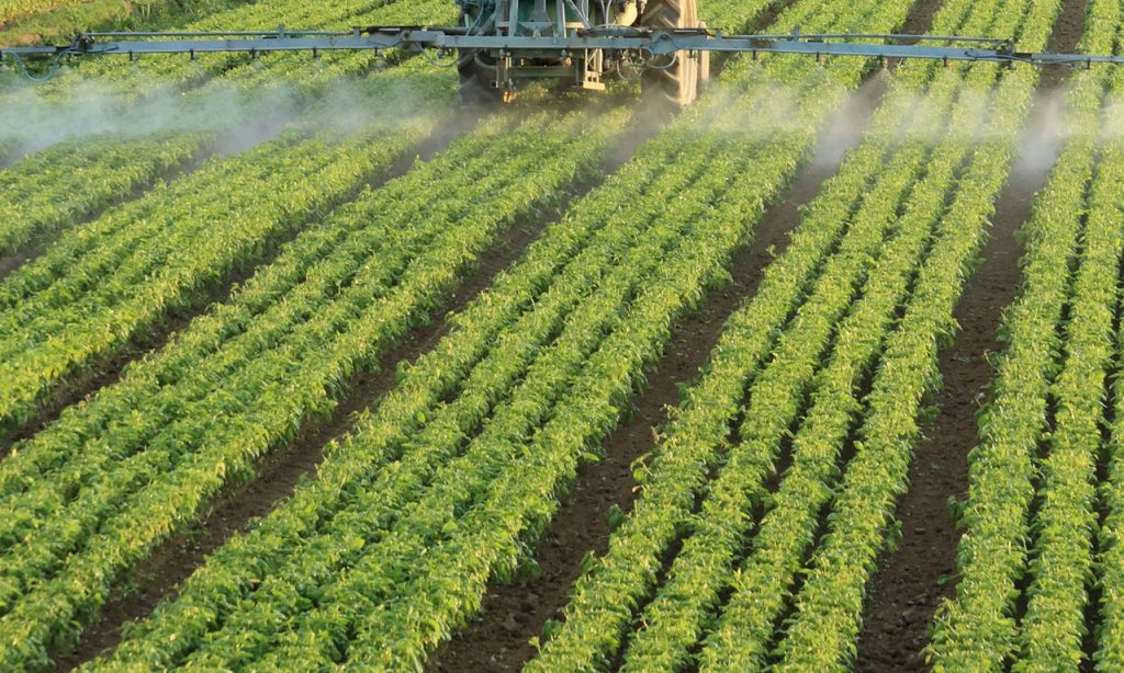 1662017123830260 1024x614