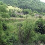 1a39b7ab 878b 33d8 b3d1 6a1a34850198