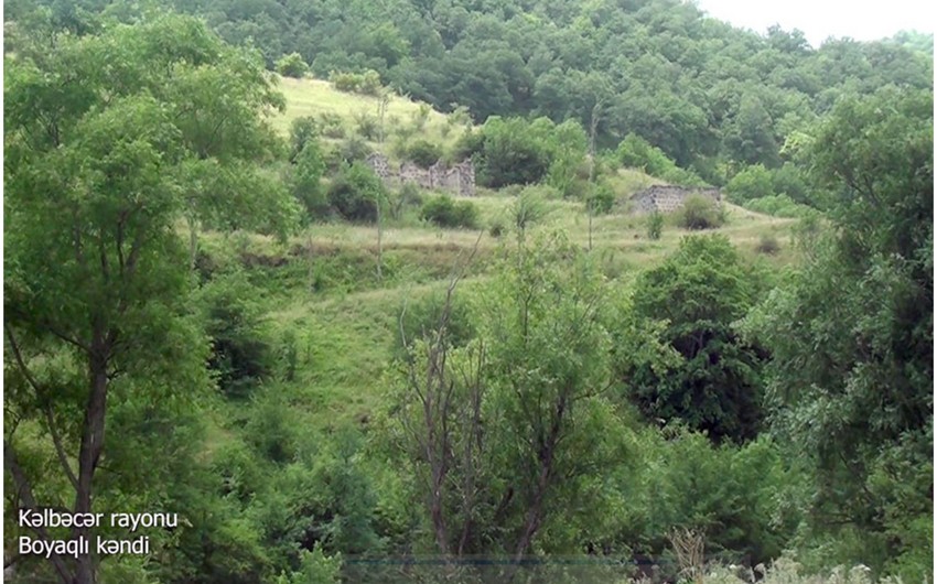 1a39b7ab 878b 33d8 b3d1 6a1a34850198