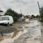 226700064 4545169452183917 2402299637363860057 n