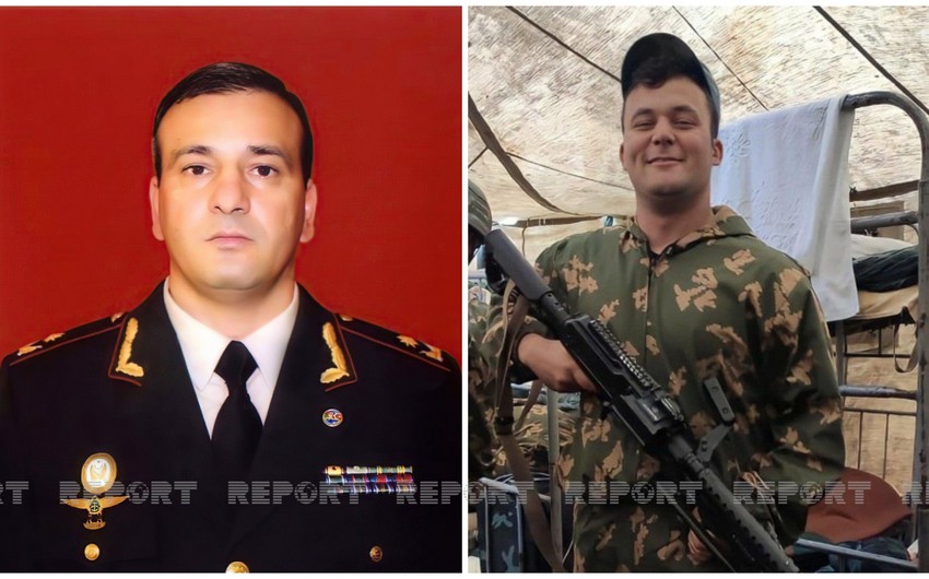 4ccda985 8d69 3036 aea1 1e65606d1a05