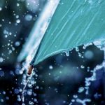 60f7cdcfa7dd560f7cdcfa7dd6162685281560f7cdcfa7dd260f7cdcfa7dd4