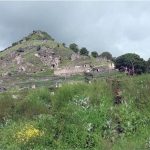 6f79e41d ee0b 30e1 b138 b8d5818b0da1