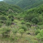 7e0867b4 bed7 3c36 b7b1 4134f6650e76