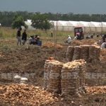 6b13f329 2c2b 38a4 8096 81f6b9776aac 321.jfif